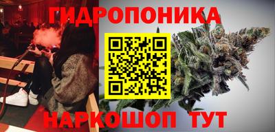 PSILOCYBIN Славгород