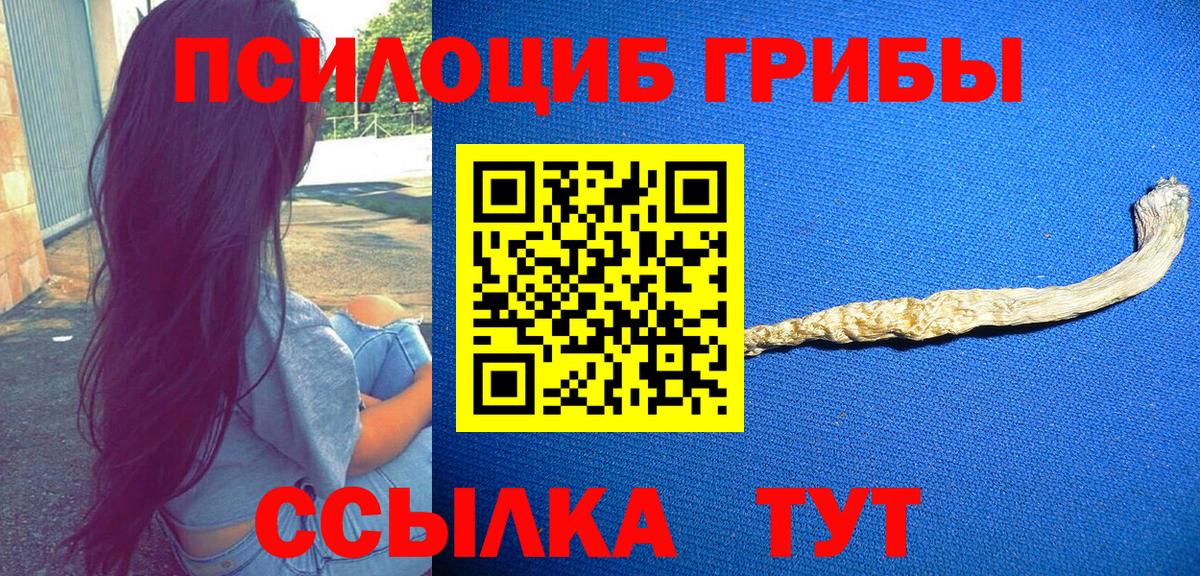 купить  сайты  Вход с VPN  Обнинск  Псилоцибиновые грибы Psilocybe  Псилоцибиновые грибы мухоморы 